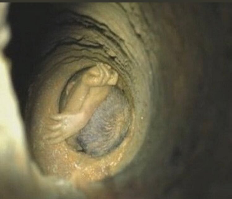 The boy, Sujith Wilson, fell into the borewell at Nadukattupatt around 5:30 pm while he was playing near his house. (Photo: Twitter/@senthilkumar_gs)