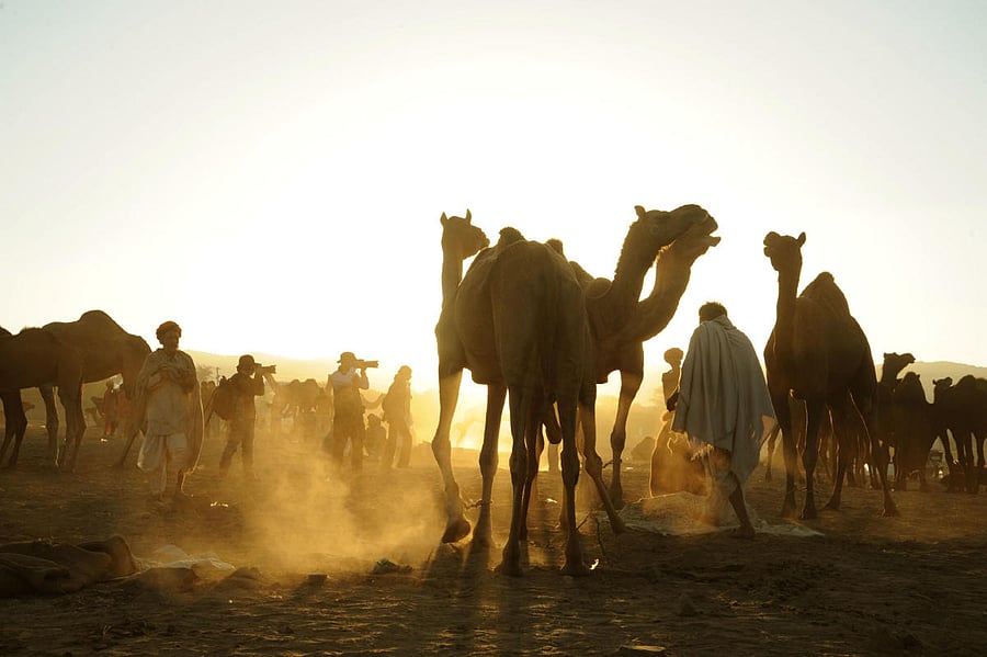 'RRR' stars Jr NTR, Ram Charan jointly top UK’s 2022 South Asian celebrity list.