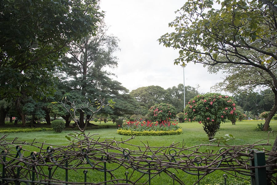 Cubbon Park