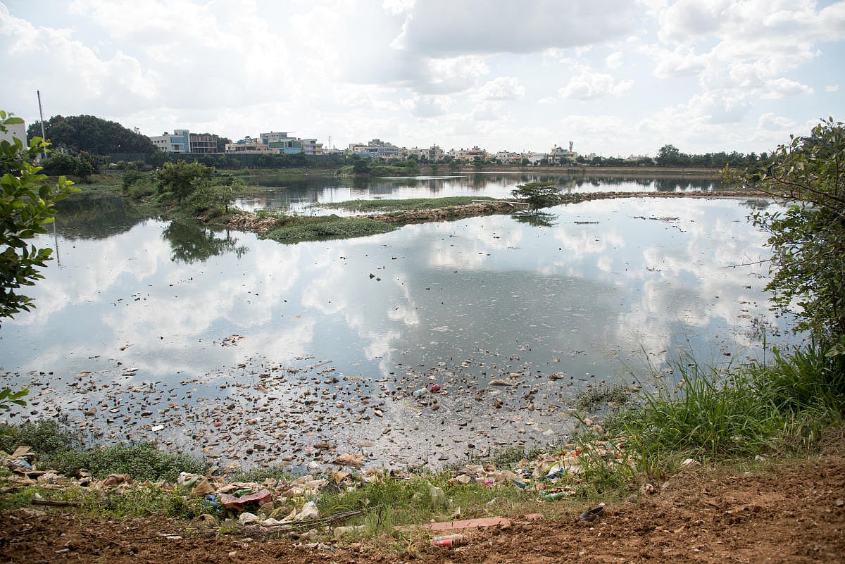 Lake restoration, a fading hope
