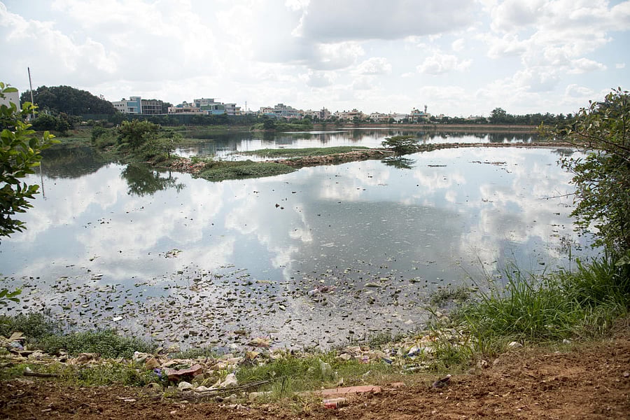 A View of T Dasarahalli Lake, in Bengaluru. (Photo/ B H Shivakumar)