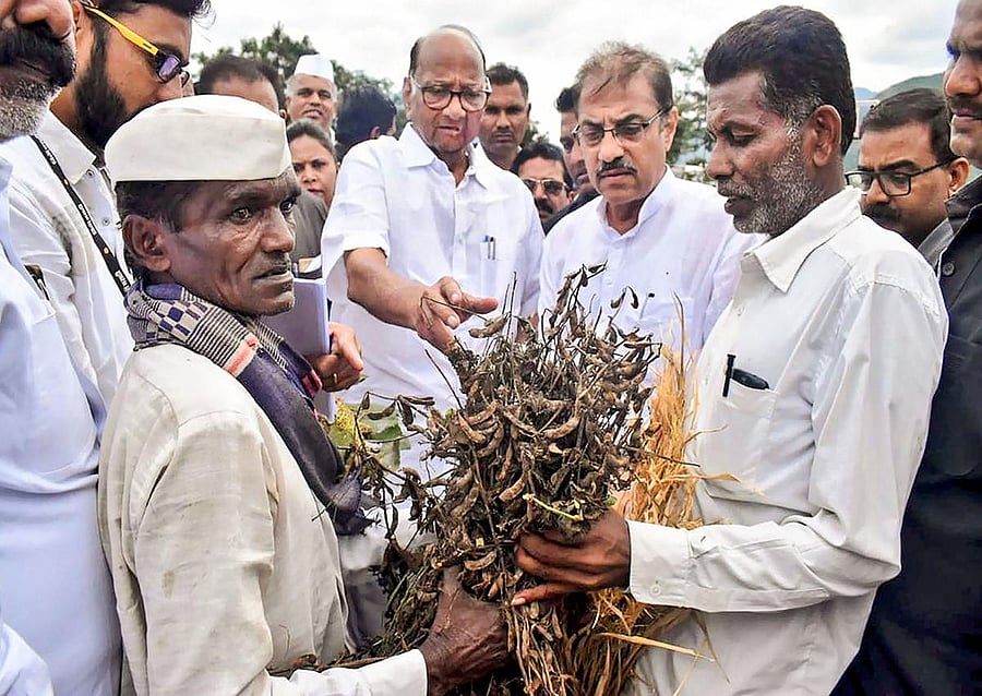 NCP chief Sharad Pawar (PTI Photo)