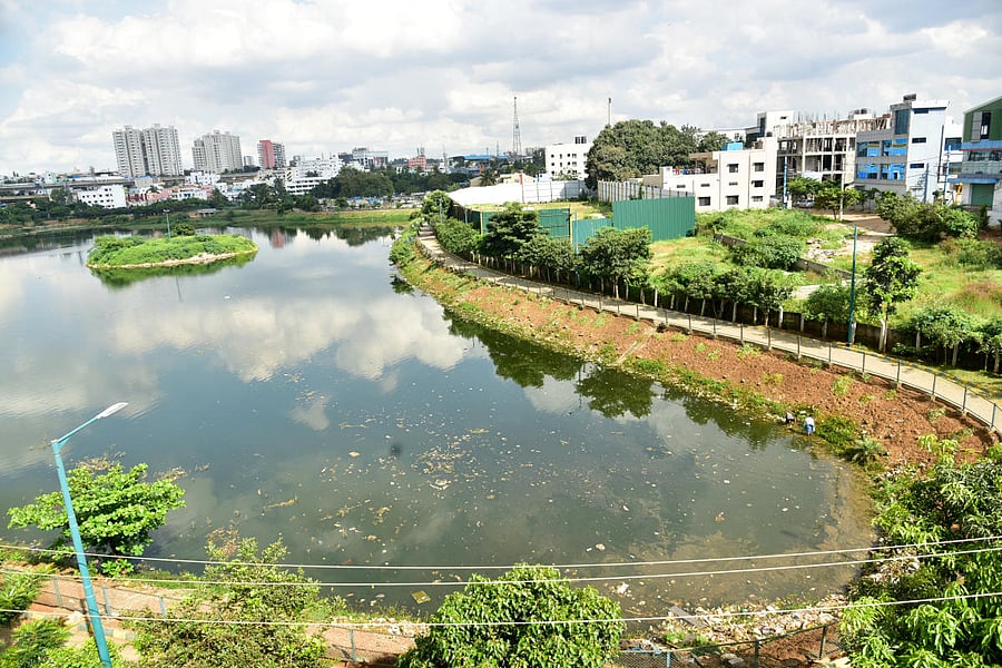 A View of T Dasarahalli Lake in Bengaluru. (Photo/ B H Shivakumar)