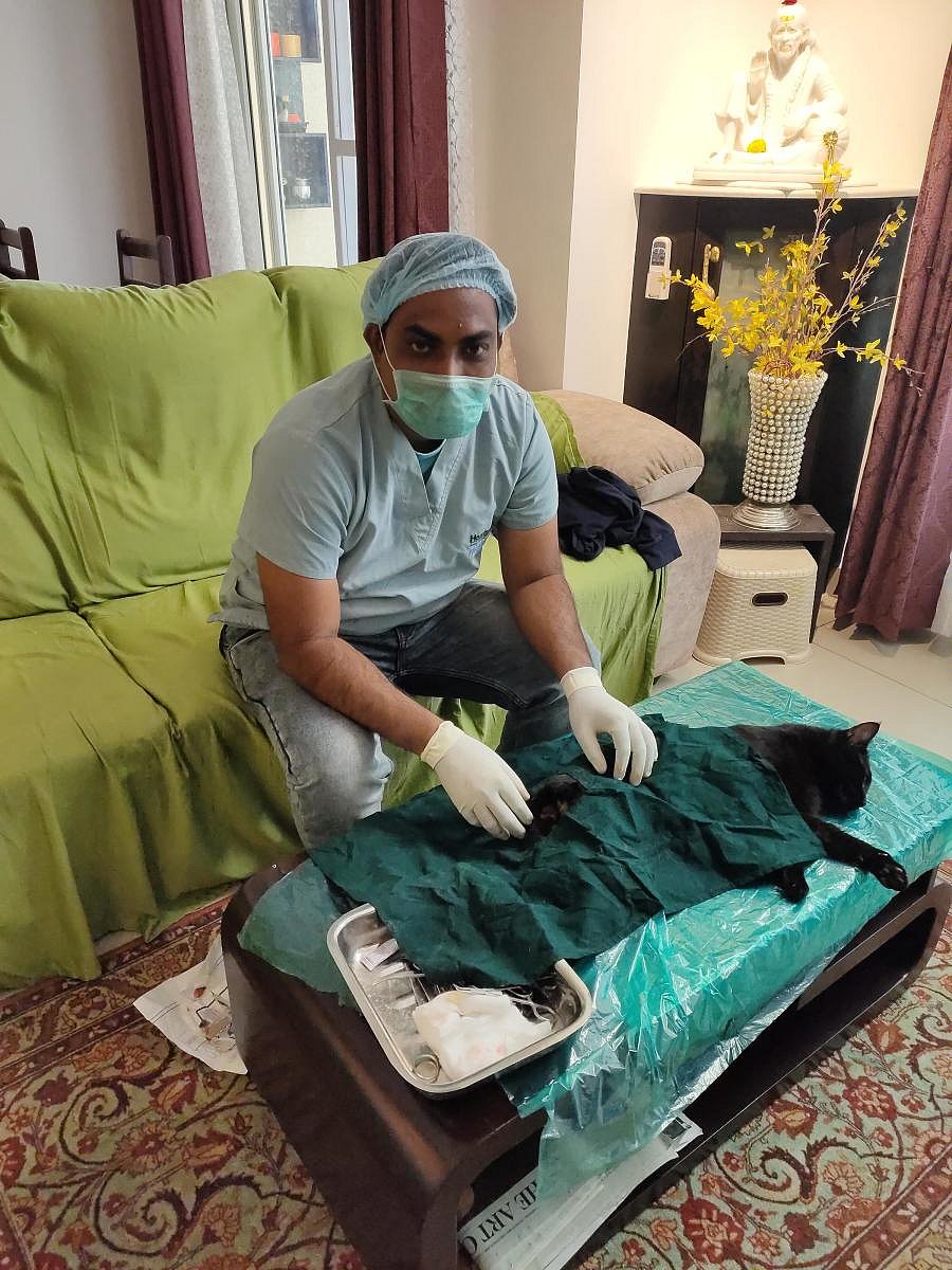 Dr Vijay Shankar Kamble and team arrive at the pet parents‘ house before 7 am to perform the surgery.