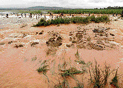 Central team to assess flood damage