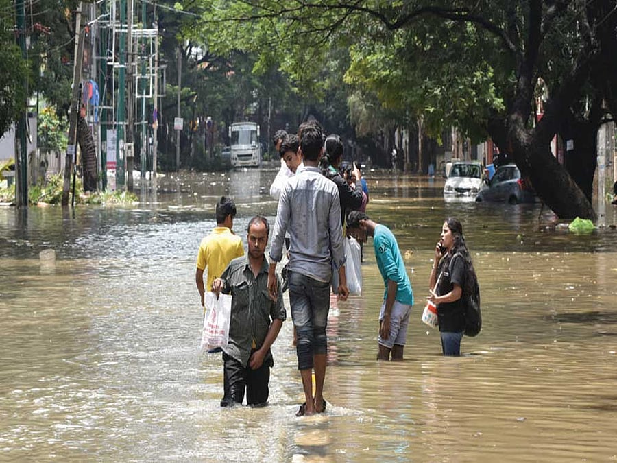 Chinese bakers looking to cash in on the popularity of the Beijing Games mascot are in the dock after authorities cracked them down.