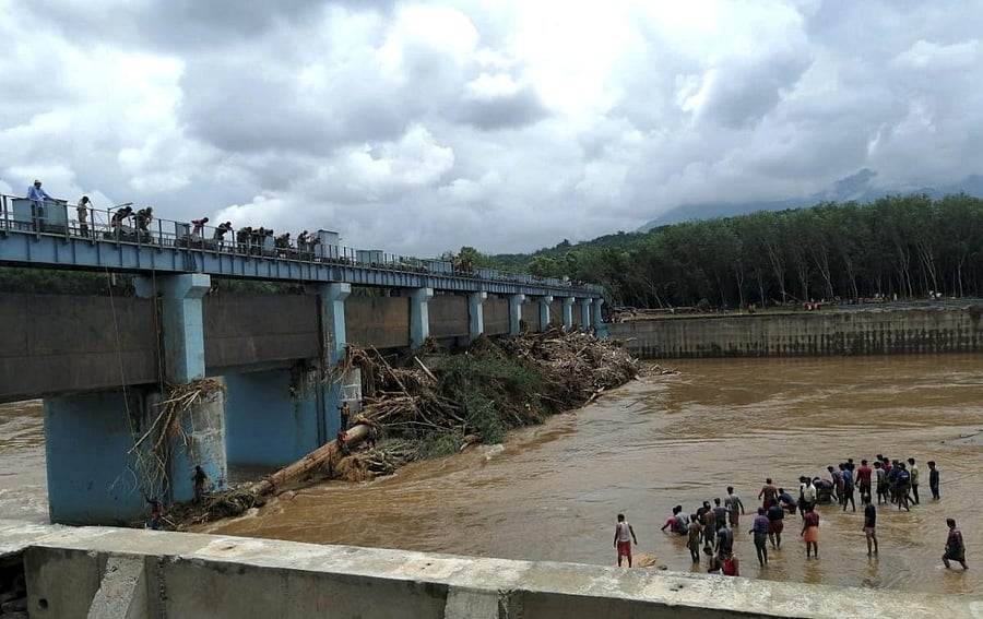 Wooden logs float on the Chaliyar river as remnants of the flash flood, in Malappuram district, Kerala. PTI photo