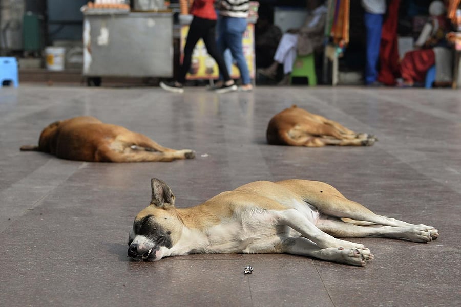 Representative Image. (AFP Photo)