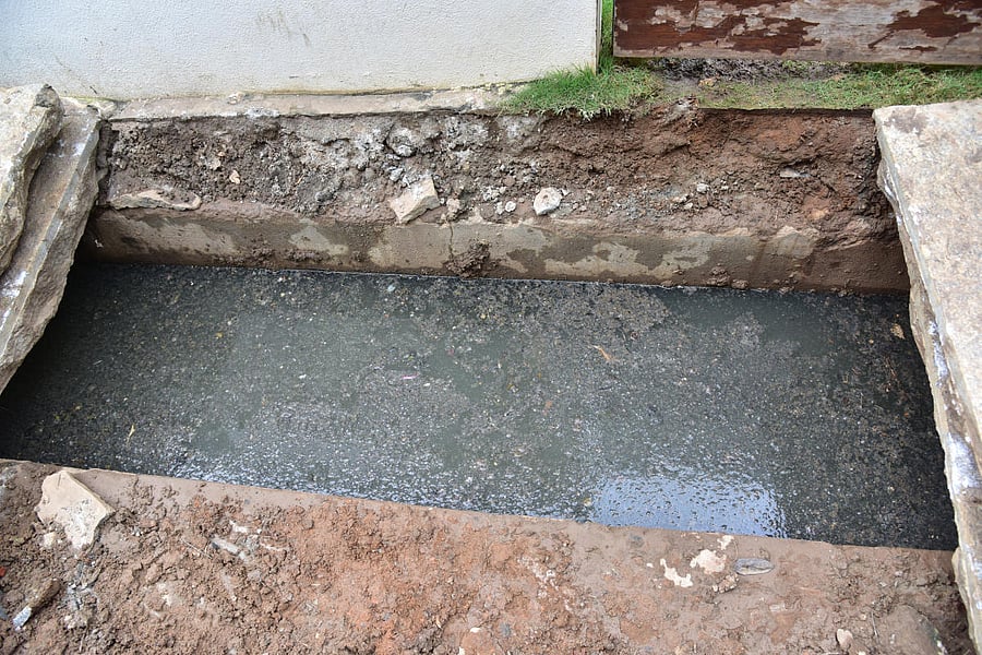 Doctors suggest disease control measures like ensuring that water does not collect anywhere. pic for representation purpose only