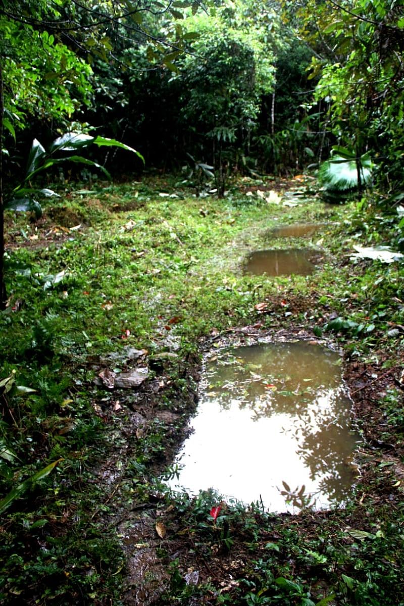 Rain water harvesting in Gori village in Lower Siang district in Arunachal Pradesh. dh photo