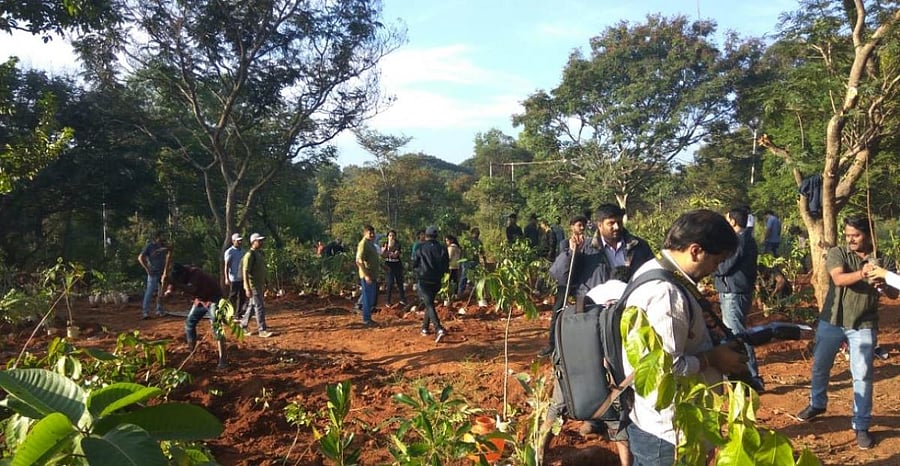 Volunteers at the plantation drive at the bio-park in Bangalore University on Saturday. SPECIAL ARRANGEMENT