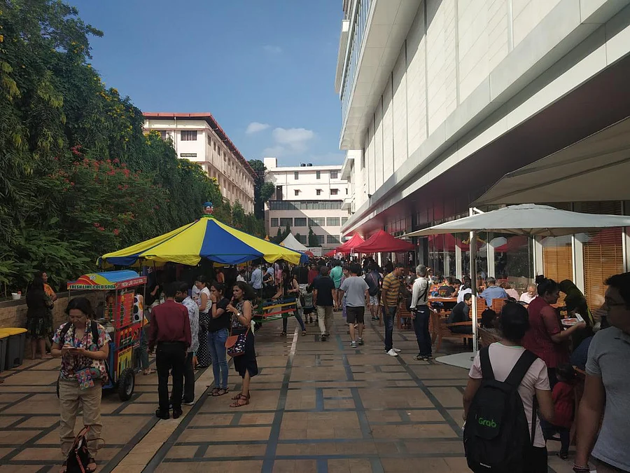More than 3,000 people attended the fest