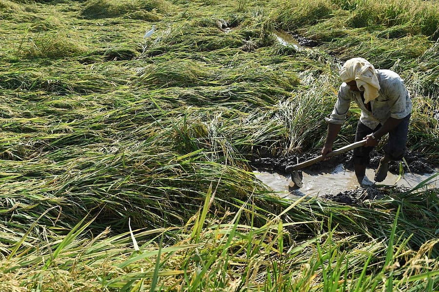 AFP file photo for representation