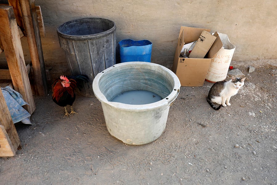 Representative Reuters photo