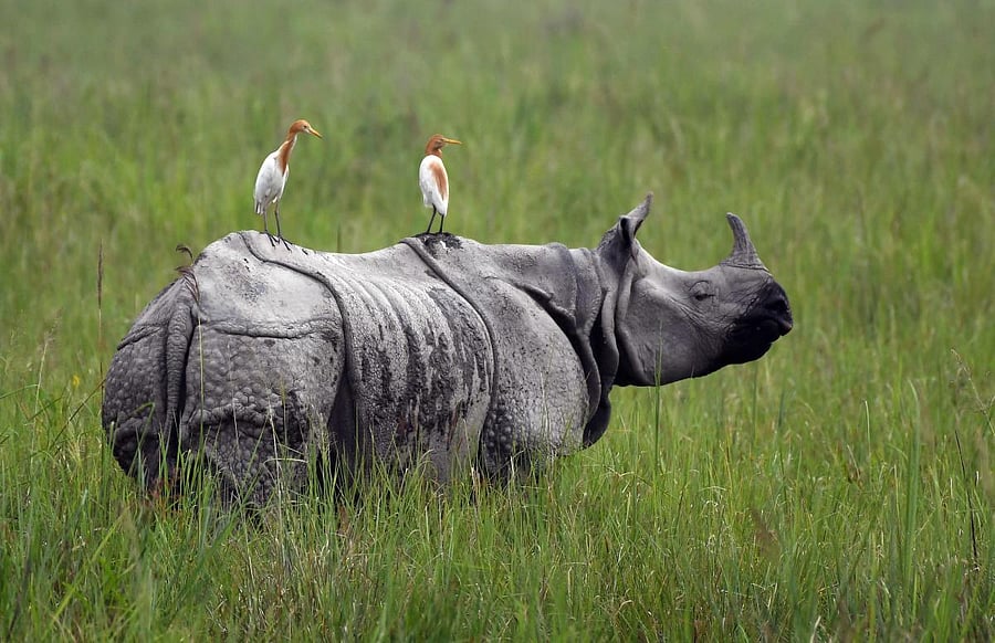 Representative image. (AFP Photo)