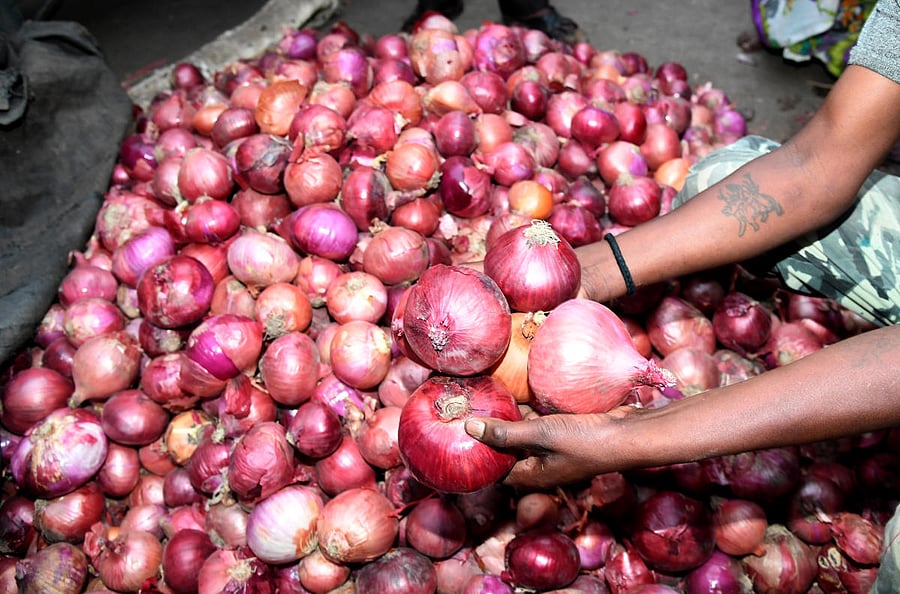 Onion (DH Photo for representation)