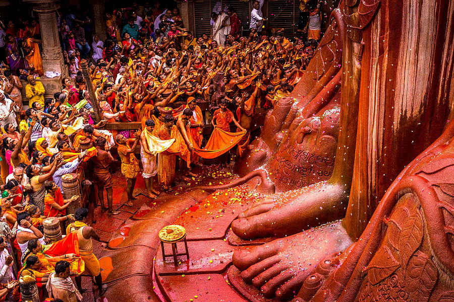 Titled 'Flower Shower', this was clicked by Anitha Mysore.
