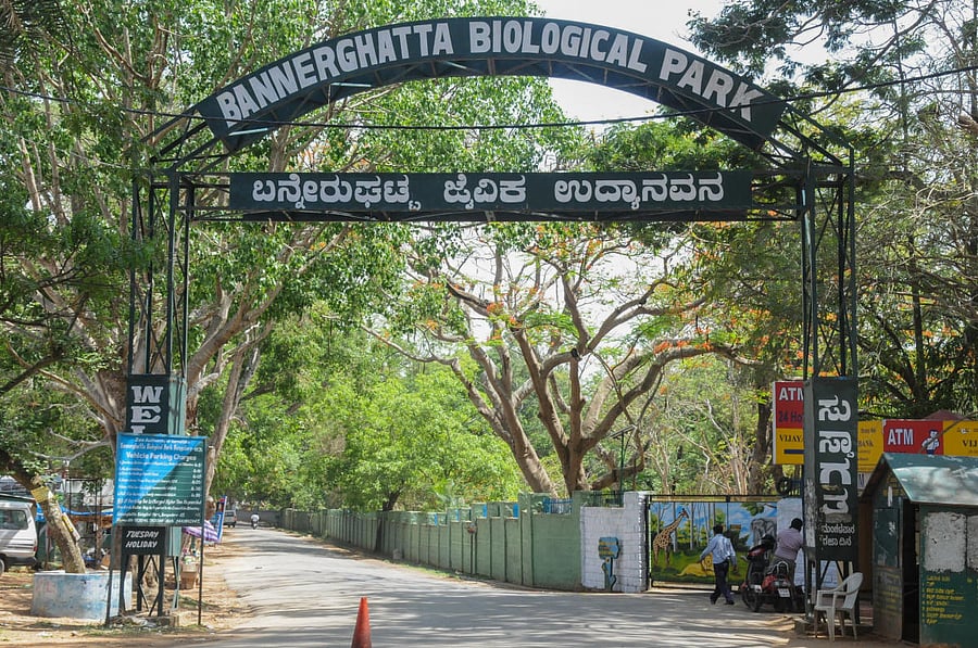 Visitors can now reserve various services at the Bannerghatta Biological Park through online booking. DH file photo