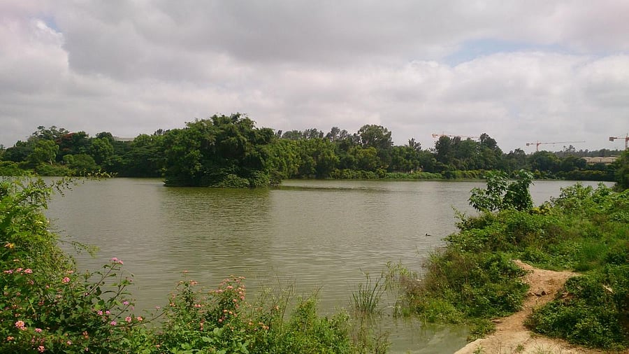 Doddakallasandra Lake