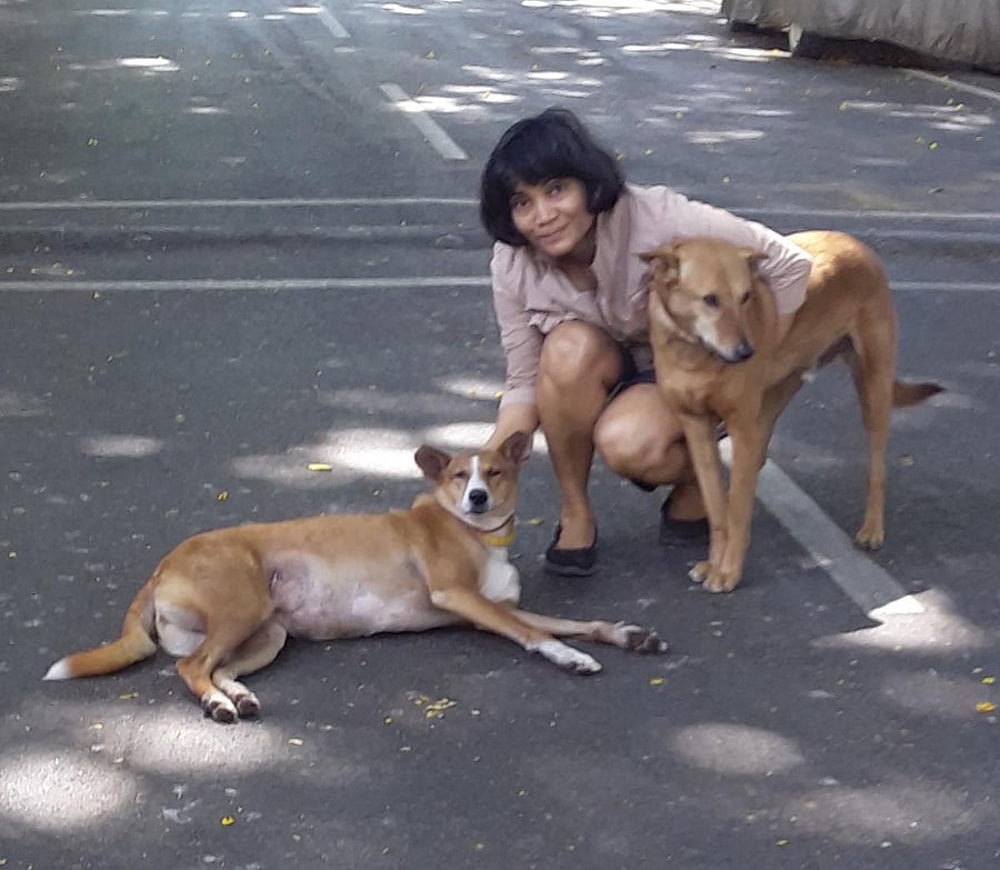 When living at home becomes perilous during floods, they move towards the embankment.