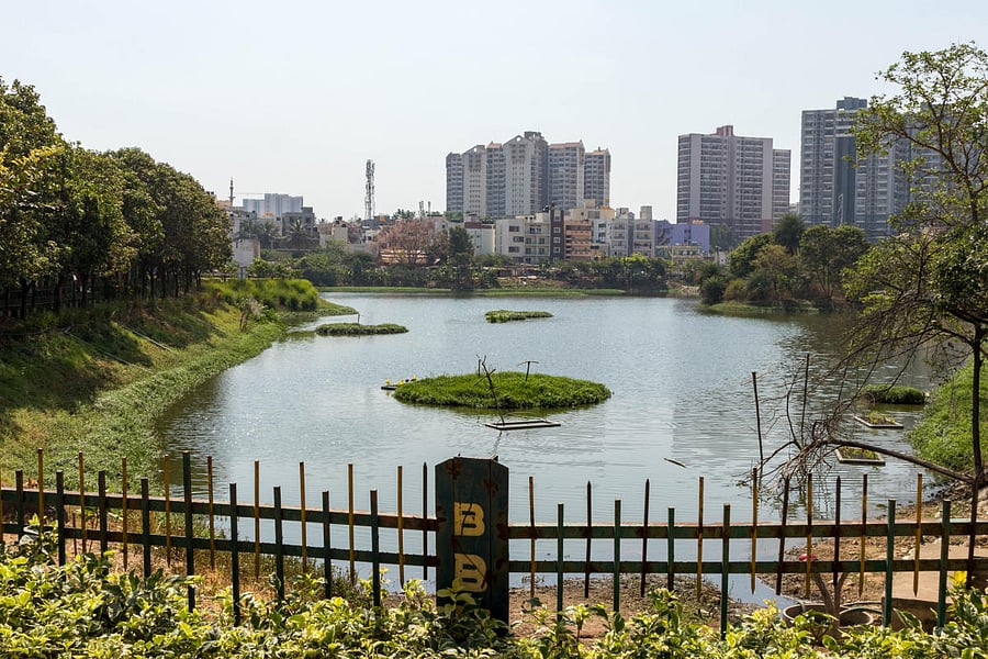 The Puttenahalli Lake was restored in 2017. But the entry of sewage water has ruined the restoration efforts. DH file