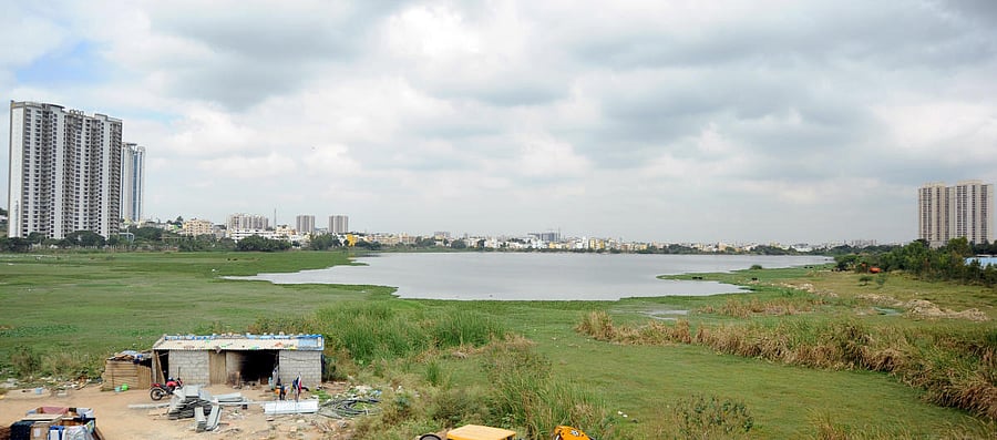 The number of lakes in Bengaluru has fallen from 262 in 1960 to 81 today. What is more, many lakes have shrunk or become stagnant sewers. 