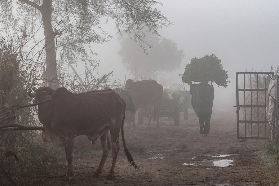 According to the weather department, in another 48 hours, there will be light rains and hailstorm in western and eastern parts of the state. (Credit: PTI)