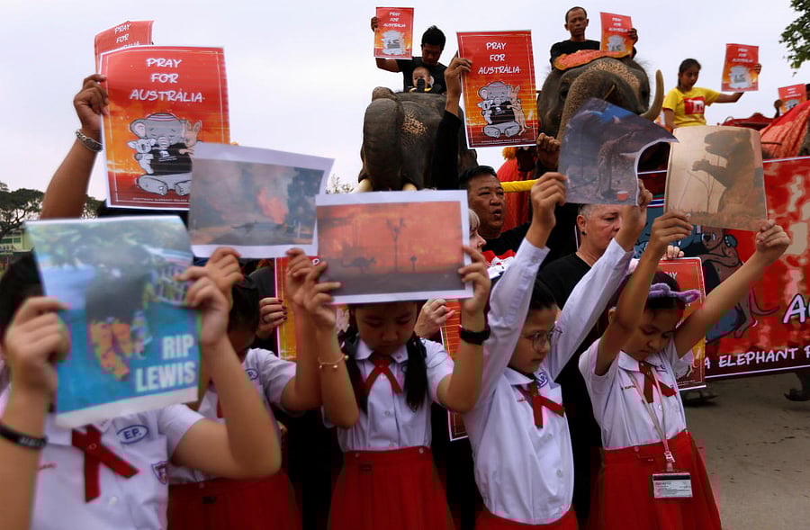 Students and a troupe of ten elephants pray for Australia bushfires, in Ayutthaya, Thailand January 13, 2020. (Reuters Photo)