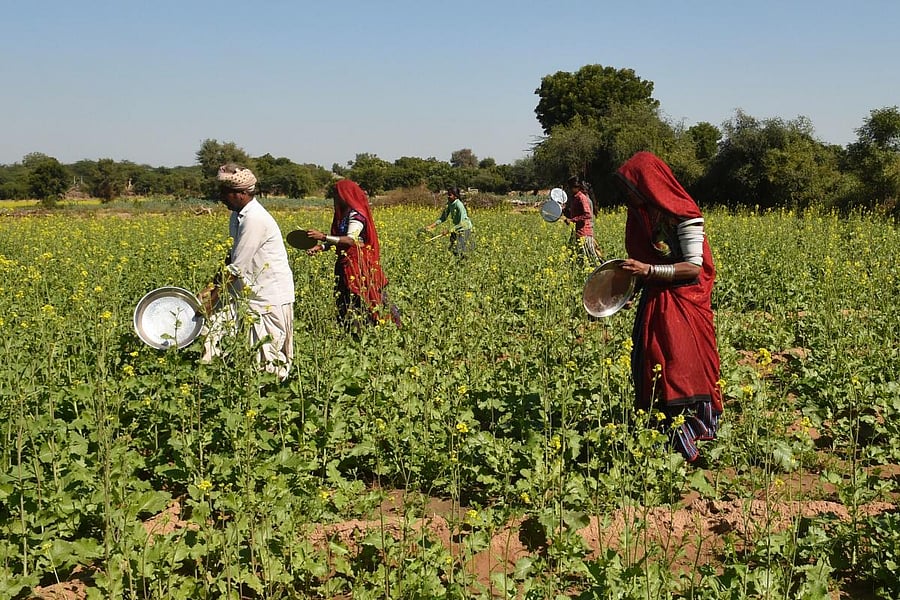 RRR was contending against films such as All Quiet on the Western Front, Argentina 1985,and Bardo among others.