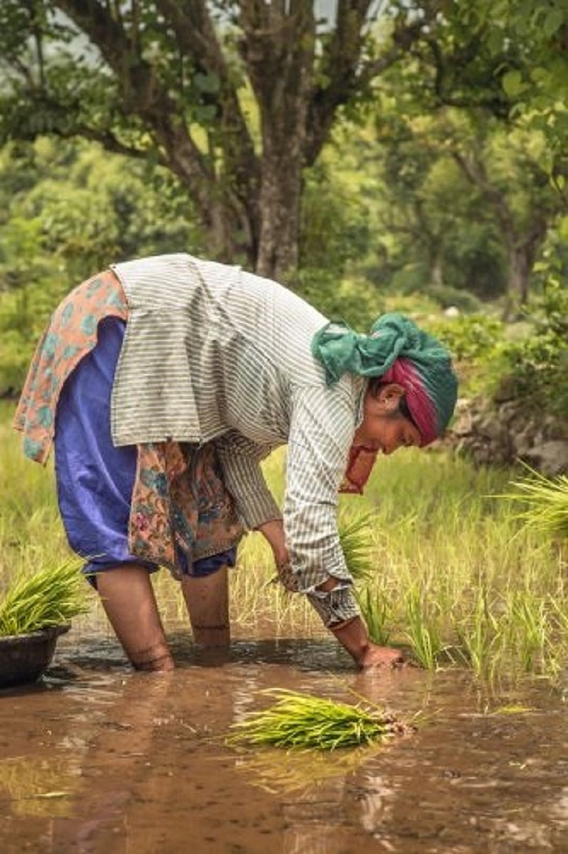 Representative image.