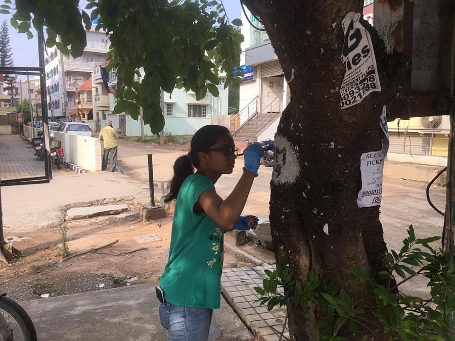 As per the Karnataka Preservation of Trees Act, the tree census has to be conducted and all trees must be recorded.