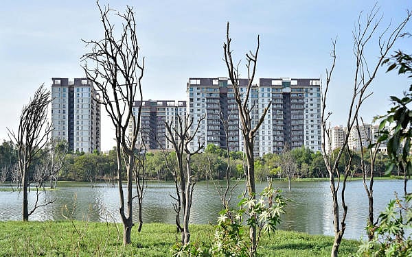 Representative image. (DH File photo)