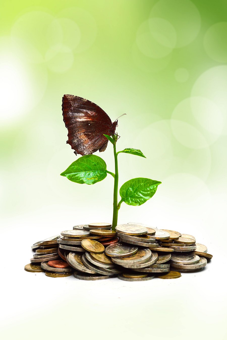 Representative image. (Credit: iStockPhoto)