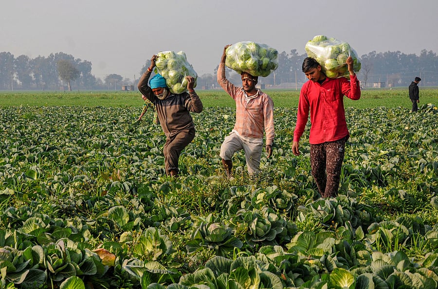 The proposal to introduce a new and personal income tax has an opportunity cost of opting new simplified personal income tax is forgoing certain deductions and exemptions. (Credit: PTI Photo)