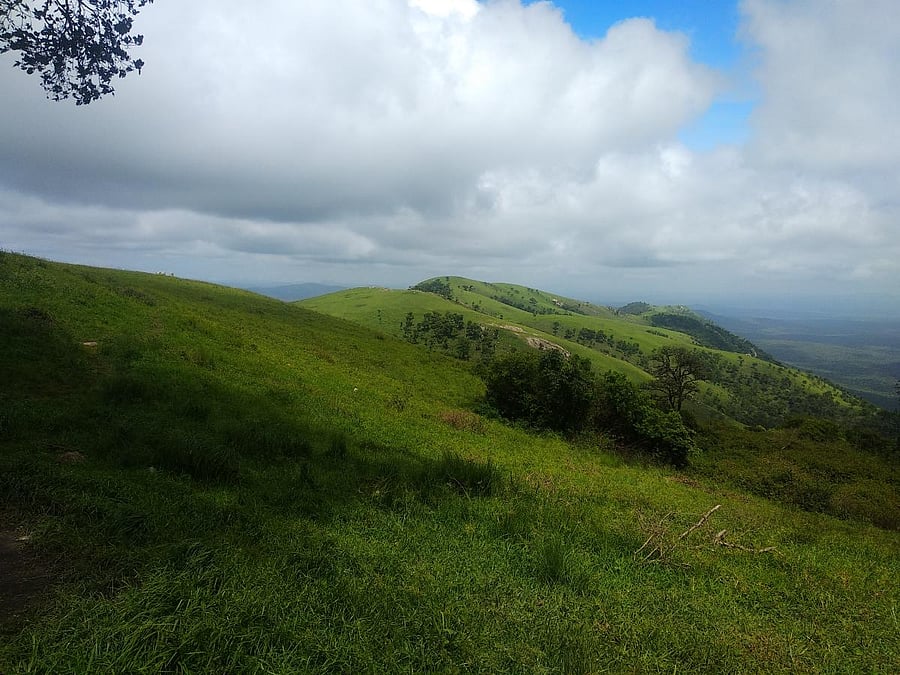 A view of Himavad Gopalaswamy Hill in Chamarajanagar district. dh photo