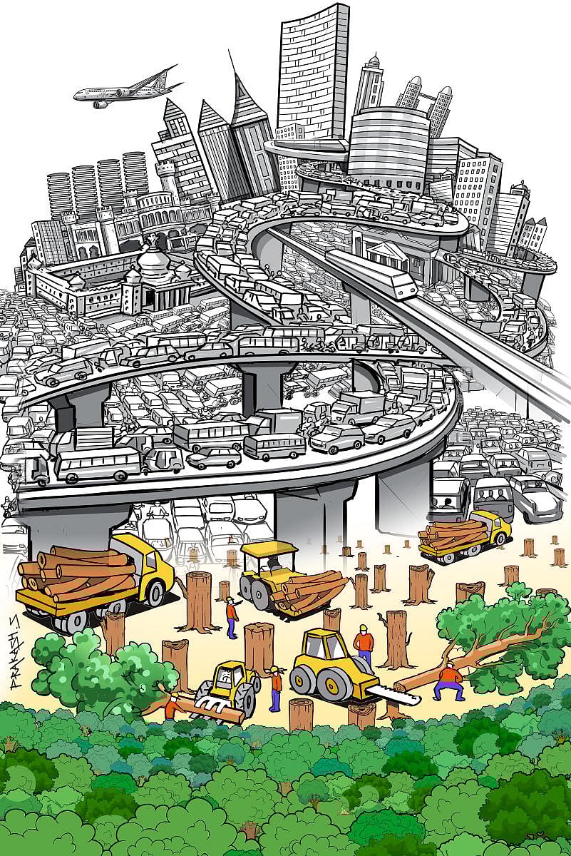 Bengaluru's shrinking tree cover