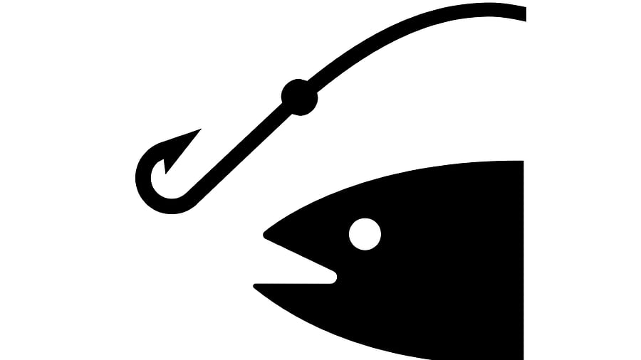 Representative Image (Image by Clker-Free-Vector-Images from Pixabay)