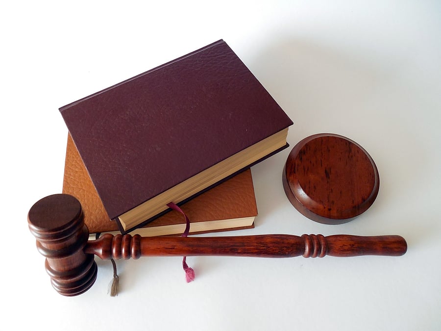 Representative Image (Image by succo from Pixabay)