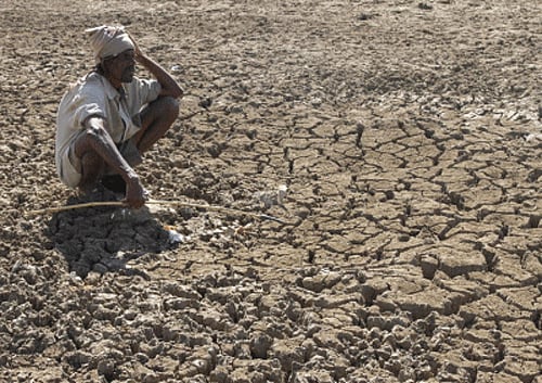 Gujarat faces a rainfall deficit due to late onset of monsoon and shortfall of rain in many parts of the state until mid-August, which may ensure that water reservoirs are empty before next summer said. DH file photo. For representation purpose