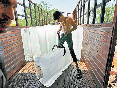 Theworker of an ice factory loads an ice bar onto a truck to supply to a market on a hot summer day on the outskirts of Ahmedabad on Tuesday. REUTERS