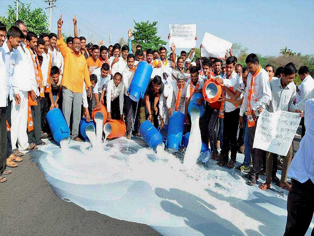 Farmers pour milk on streets of Gujarat seeking loan waiver