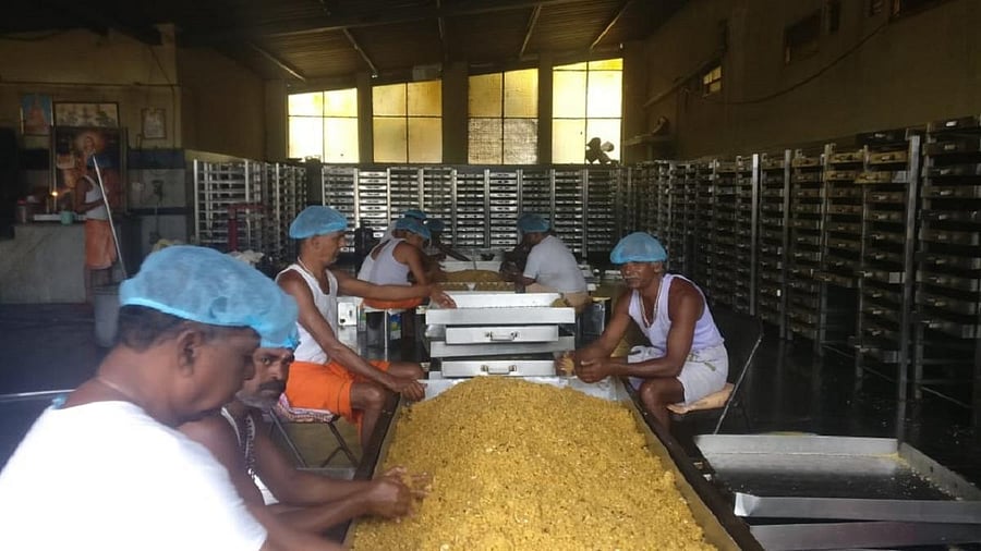 Employees prepare laddus during Shivaratri Jatra, at MM Hills, in Chamarajanagar district.