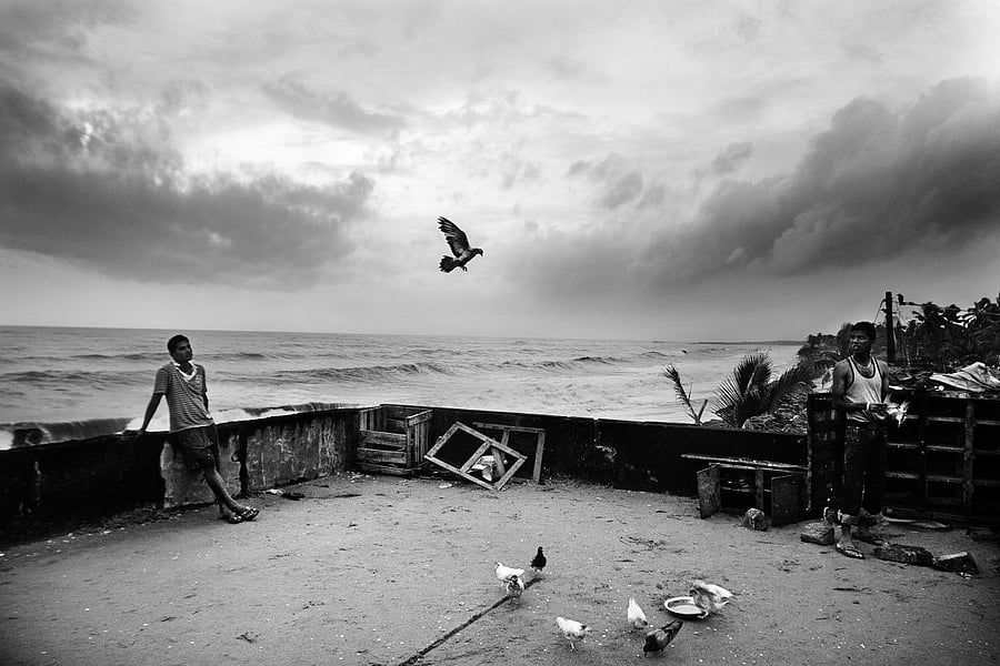 This house in Ullal, Karnataka, was partially destroyed by the violent sea. It is now being used to train pigeons for races. The ongoing construction along the shoreline has also changed the wave patterns, causing rapid erosion