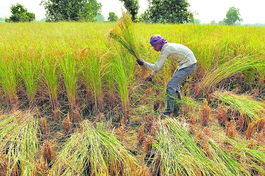 Representative image. (AFP Photo)