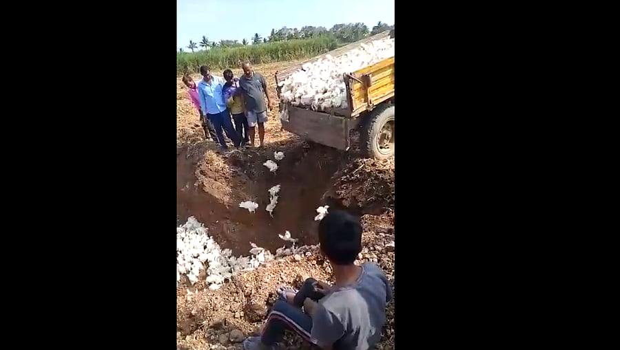 A screengrab from a video of the burial.
