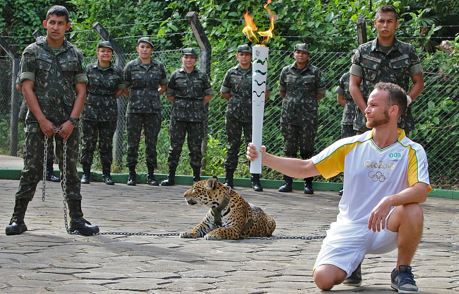Athlete holding the Olympic Torch by a jaguar -- a symbol of Amazonia -- during a ceremony in Manaus, northern Brazil. (AFP Photo)