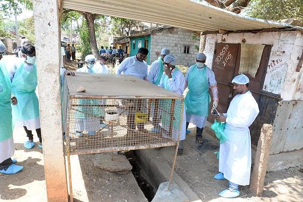 Representative image. (Credit: DH Photo)