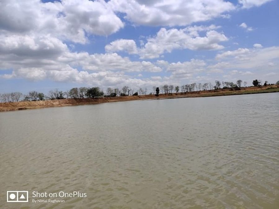 The restored Peravurani lake. NIMAL RAGHAVAN/FACEBOOK