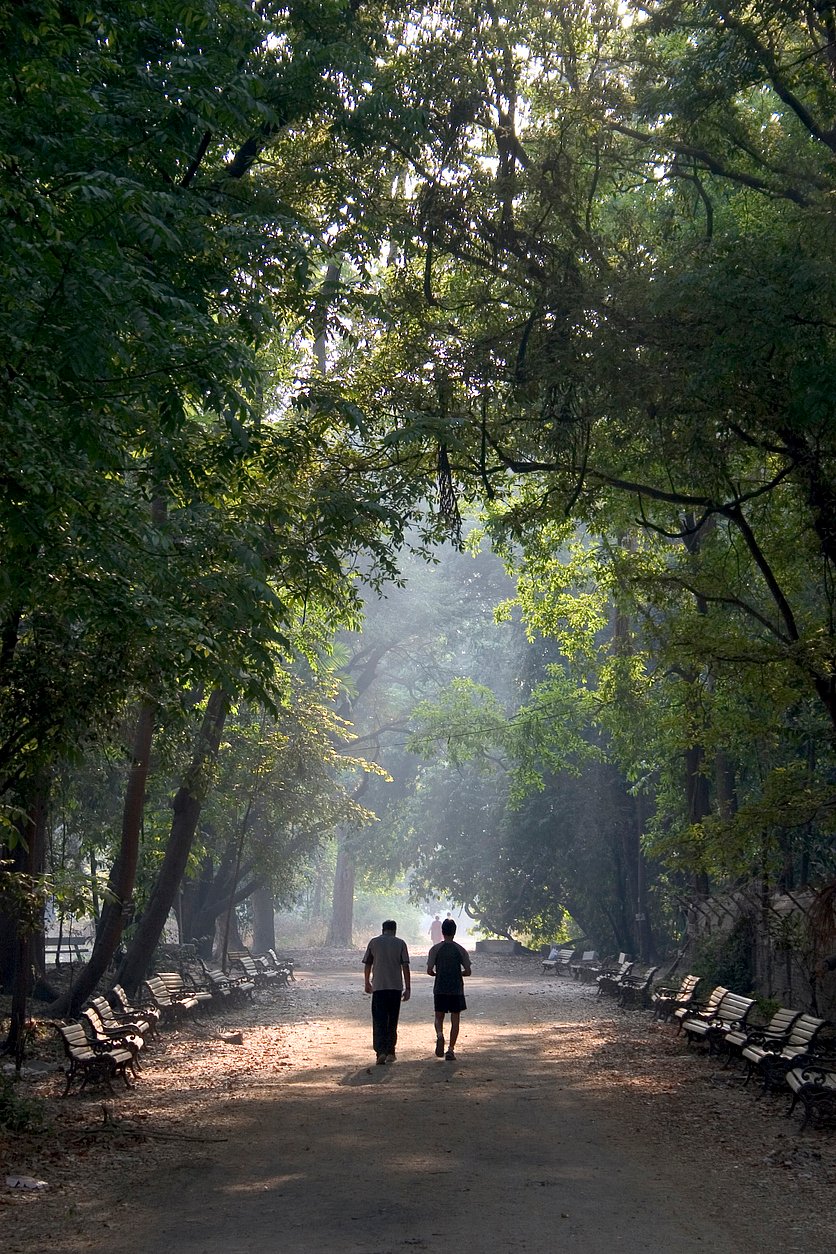 Representative image/iStock