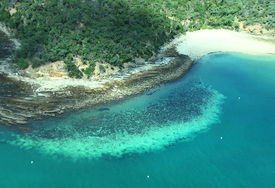 An aerial survey of coral bleaching on the Great Barrier Reef. (Credit: AFP)